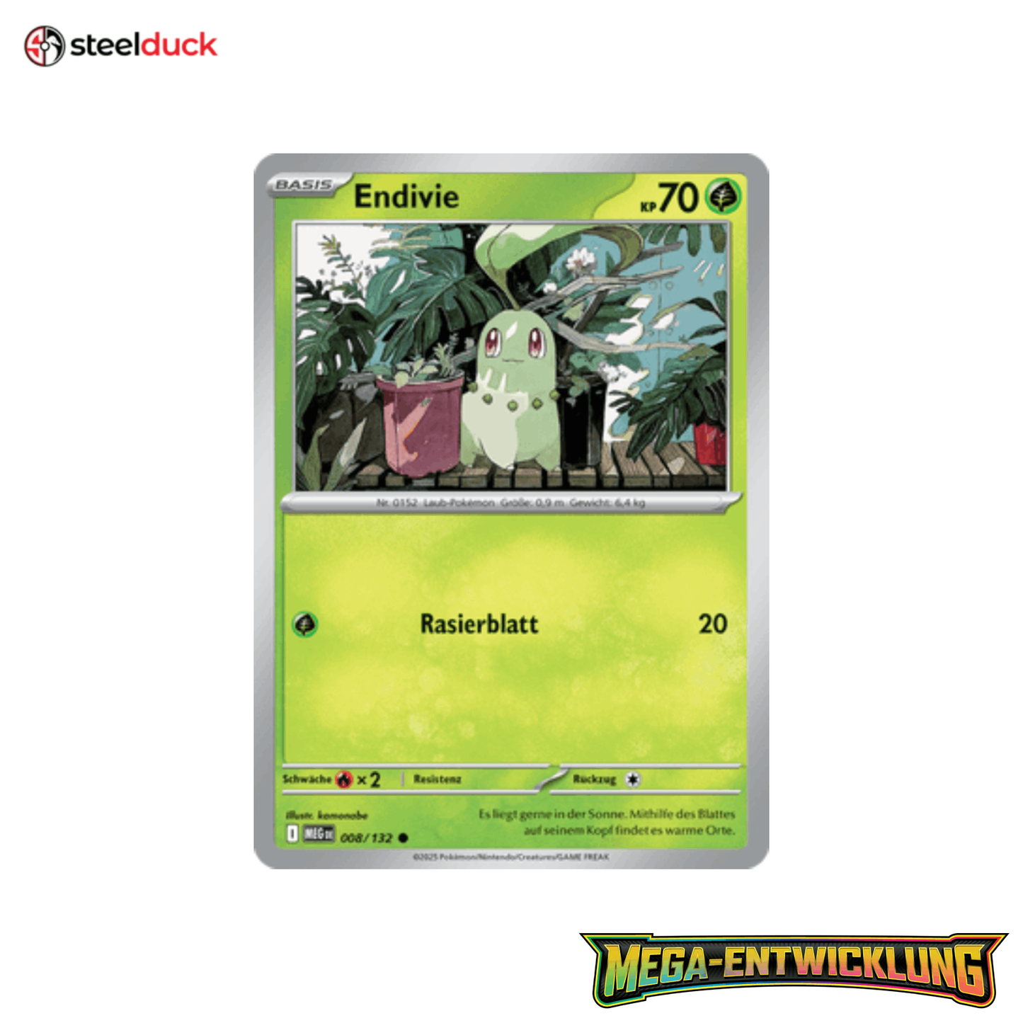 Endivie (008/132) Mega-Entwicklung - Common