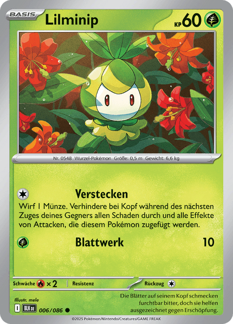 Schwarze Blitze Nr. 6