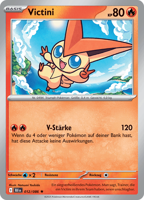 Schwarze Blitze Nr. 12