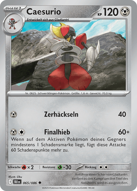Schwarze Blitze Nr. 65