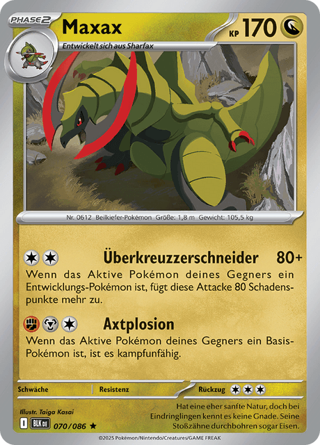 Schwarze Blitze Nr. 70