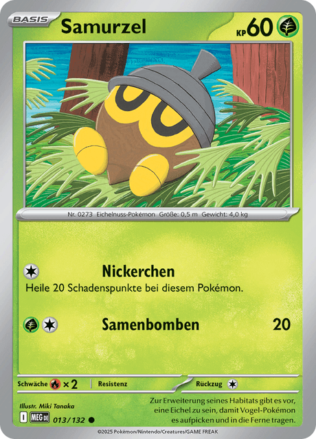 Mega-Entwicklung Nr. 13