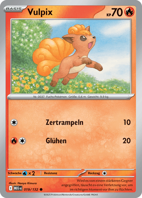 Mega-Entwicklung Nr. 19