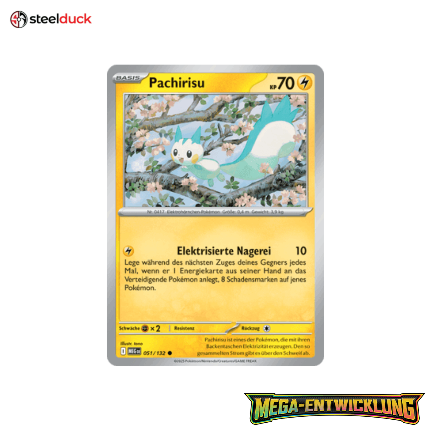 Pachirisu (051/132) Mega-Entwicklung - Common