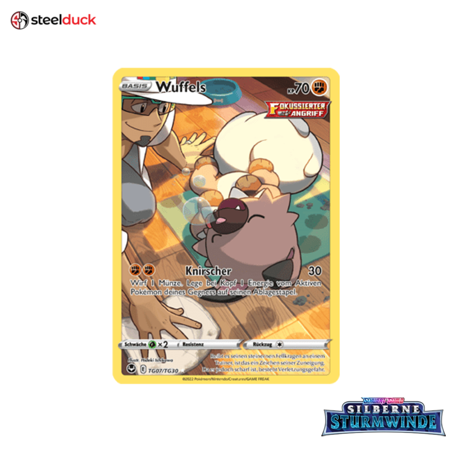 Wuffels (TG07/TG30) Silberne Sturmwinde - Trainer Gallery Holo Rare
